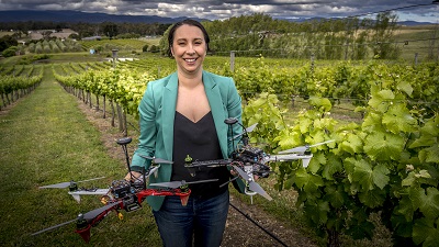 Woman in vineyard holding two drones, used to deter birds from ripening frui..